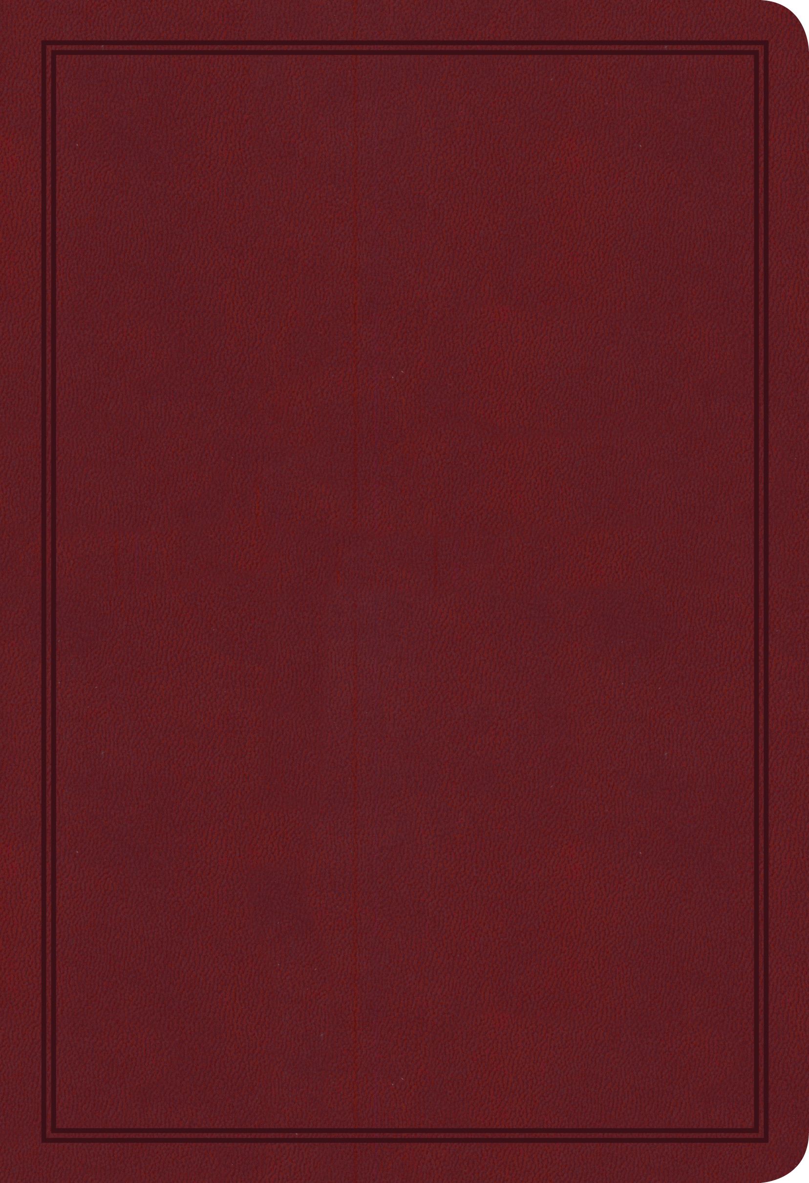 KJV Deluxe Gift Bible, Burgundy LeatherTouch