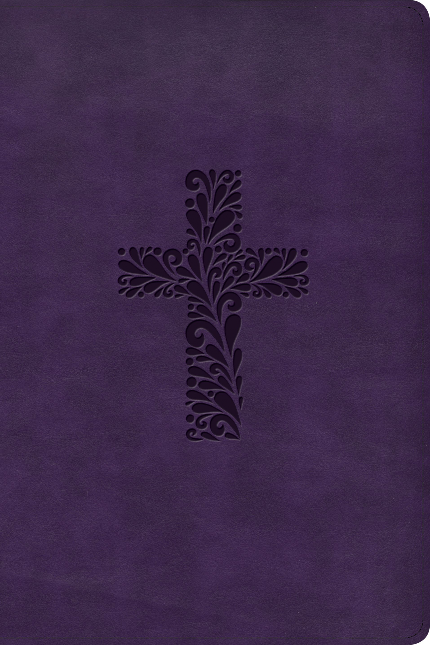 KJV Rainbow Study Bible, Purple LeatherTouch, Indexed