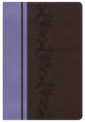 KJV Rainbow Study Bible, Brown/Lavender LeatherTouch, Indexed