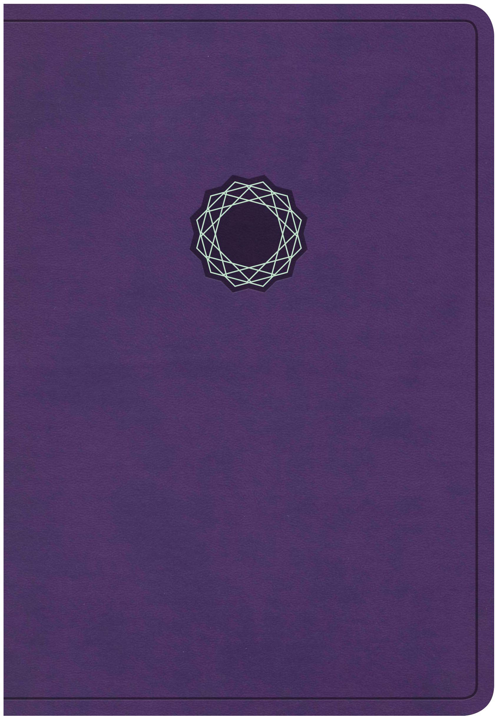 KJV Deluxe Gift Bible, Purple/Teal LeatherTouch