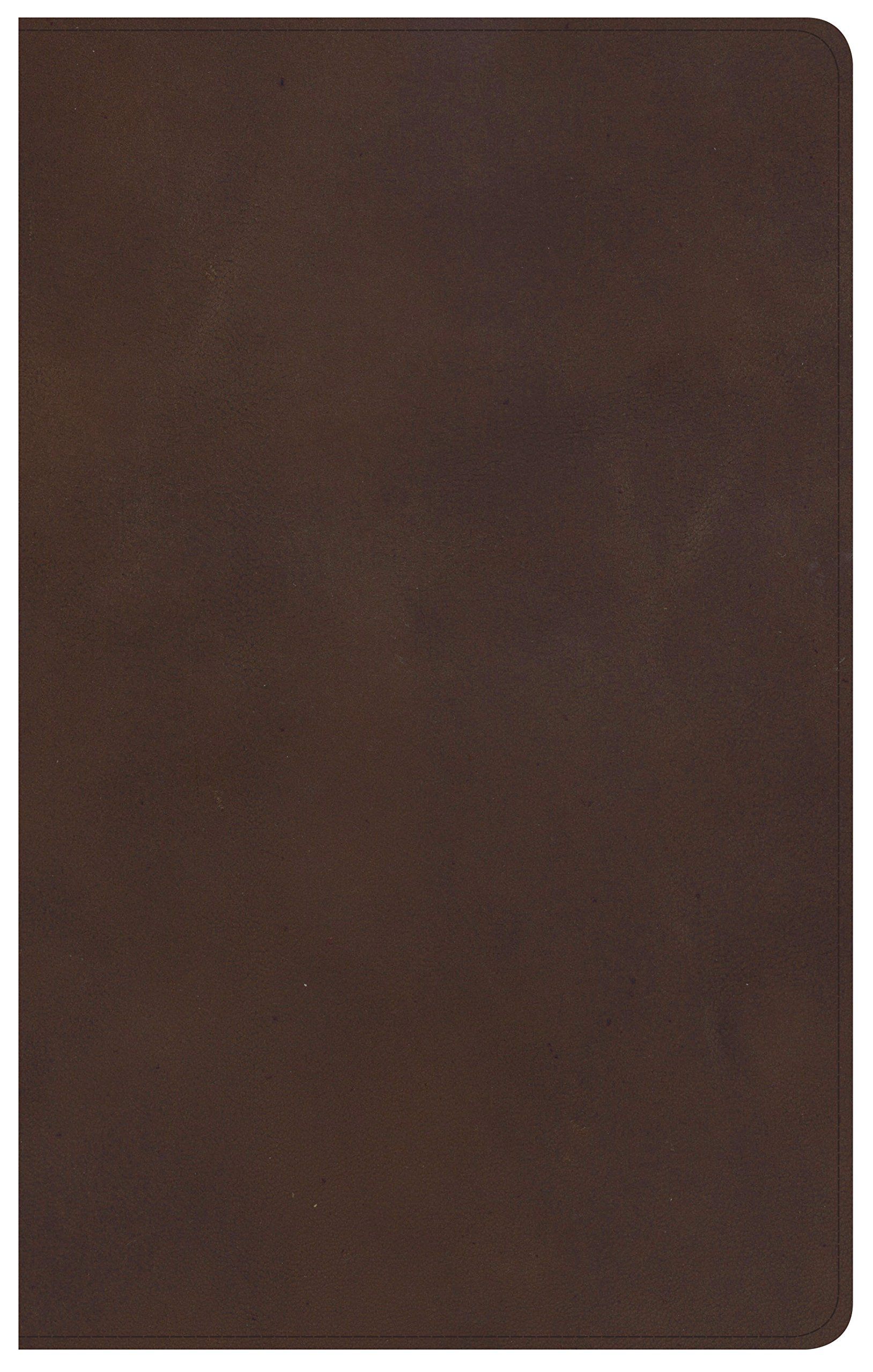 KJV Ultrathin Reference Bible, Brown Genuine Leather, Indexed